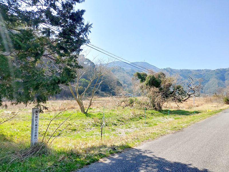 靡けこの山