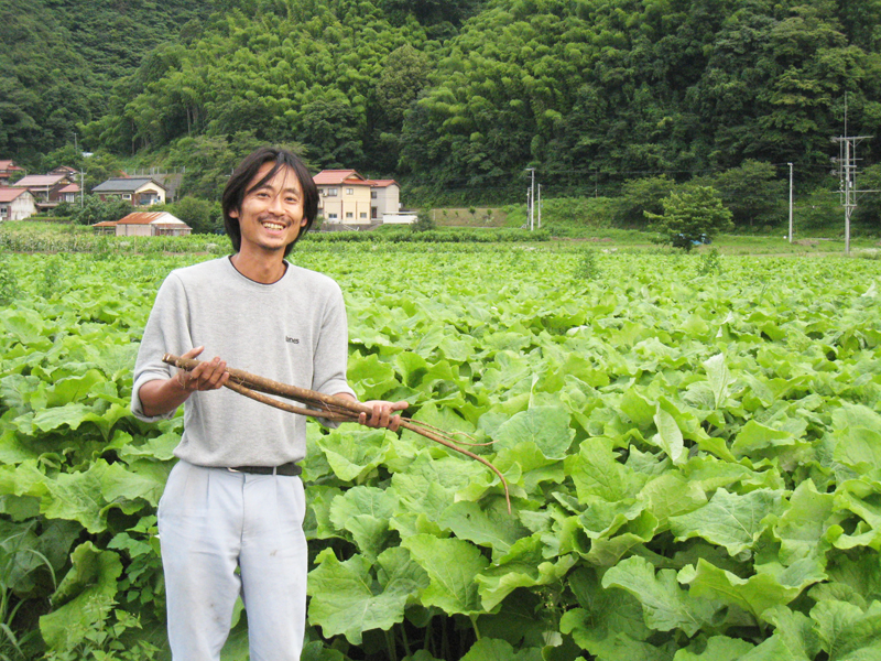 はんださんと牛蒡畑