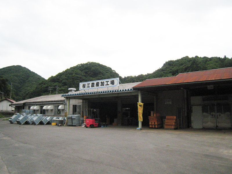 有限会社はんだの事務所