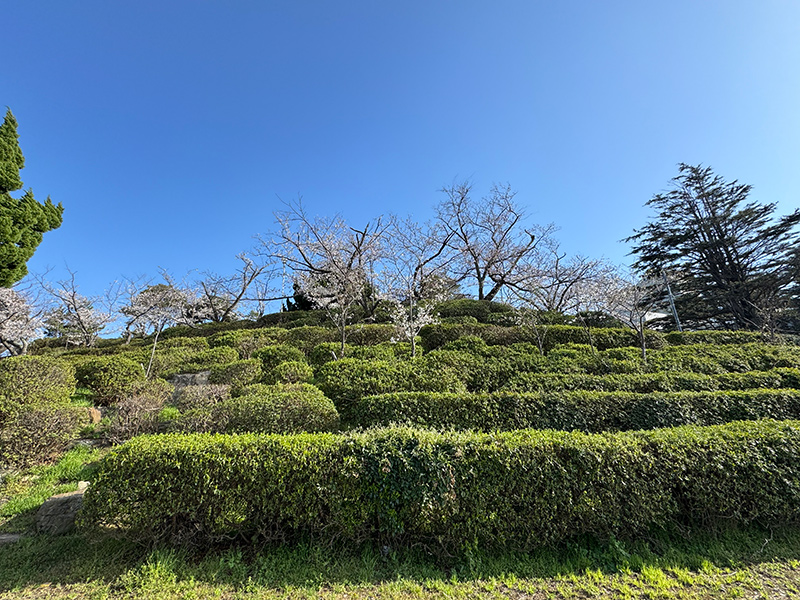 丸子山公園
