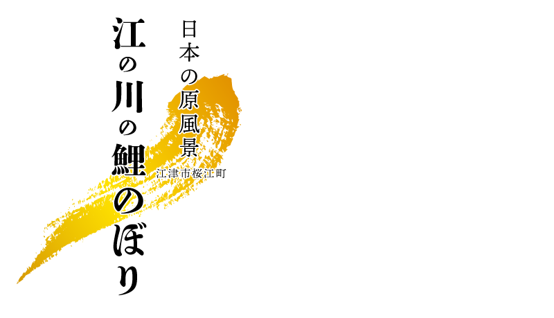 日本の原風景江の川の鯉のぼり
江津市桜江町