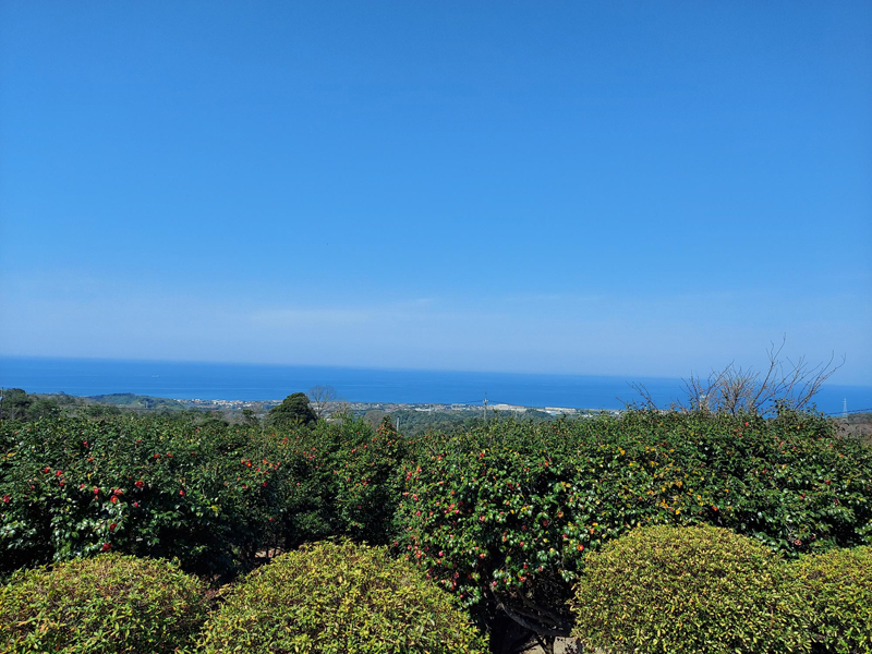 展望台から望む江津の風景